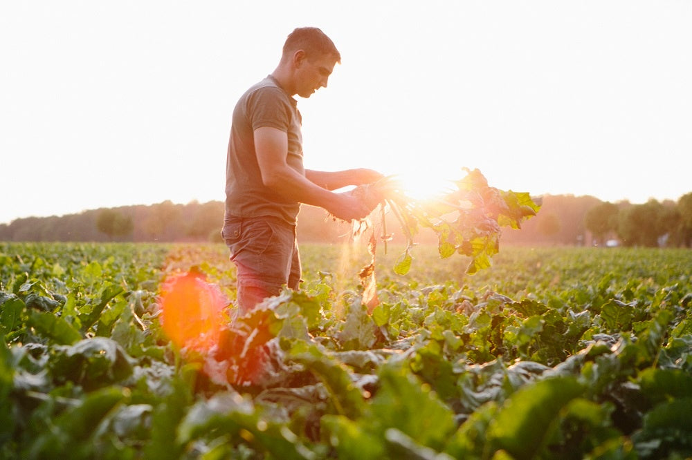 Organic Farming CAN feed and SAVE the world!