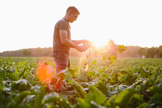 Organic Farming CAN feed and SAVE the world!